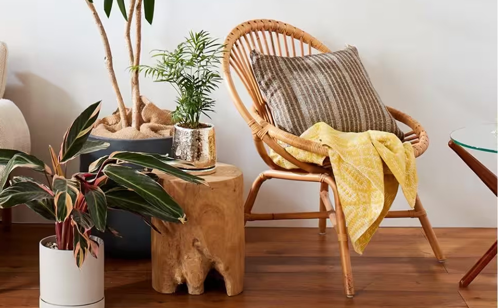 Amazon.co.jp: JOURNAL STANDARD FURNITURE ラウンジチェア