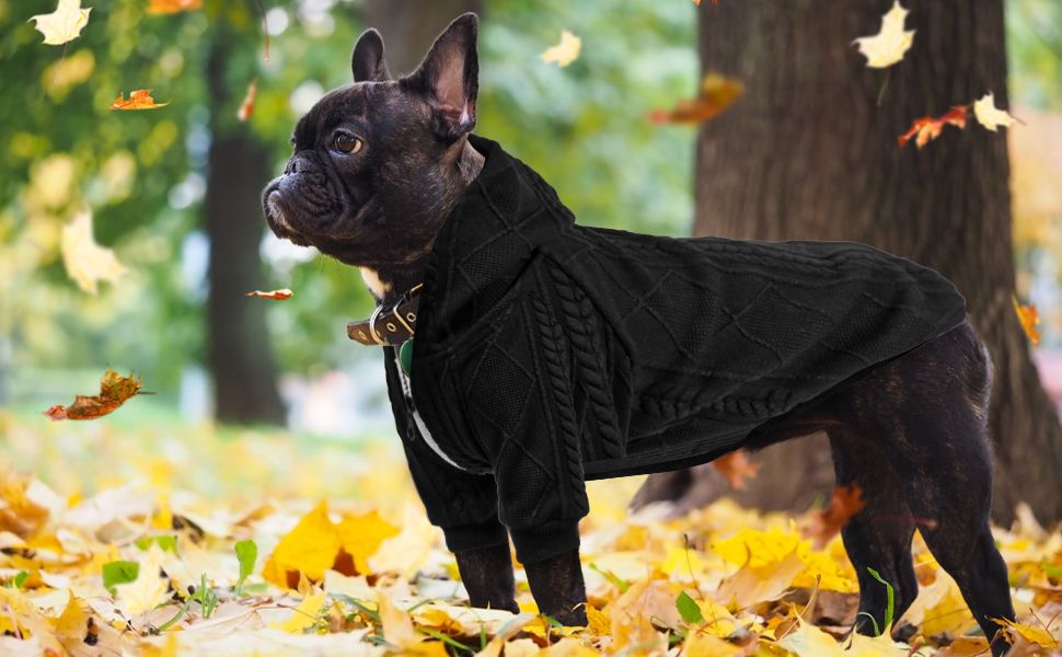 hunde katzen Sweater fleece pullover hundefleecepulli hundepulli hundepullover winter mittlere dog