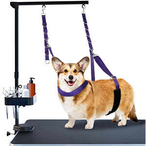 ASOCEA Dog Grooming Belly Strap Adjustable Nylon Loop for Pet Bath Dog Grooming Extension Grooming Table Arm Accessories for Small Medium Dogs Cat 12 sobre mesa de aseo profesional con correas de sujeción moradas y un accesorio para el brazo de aseo sobre un fondo