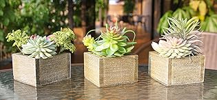 Artificial Succulents in Pots