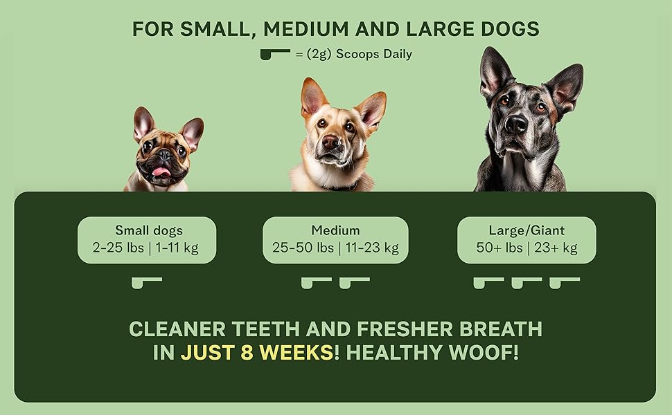 Dog dental care dosage for small, medium, large dogs, with 2g scoops daily for effective results