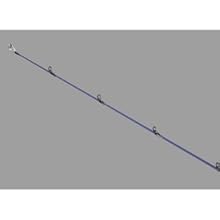 ロッド SALTIGA SJ 61b-0 Amazon | ダイワ(DAIWA) スロージギングロッド SALTIGA SJ 61B-0