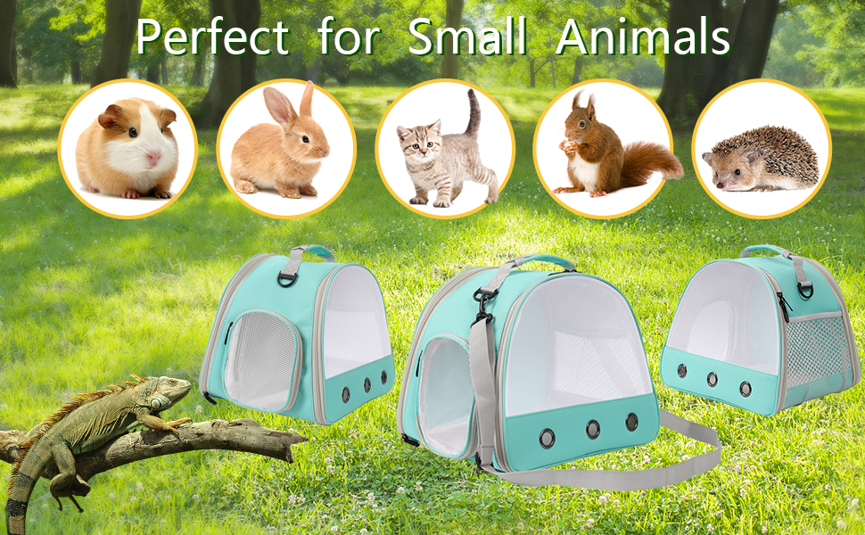 Parhjiv Guinea Pig Carrier, Rabbit Bunny Carriers, Portable Travel