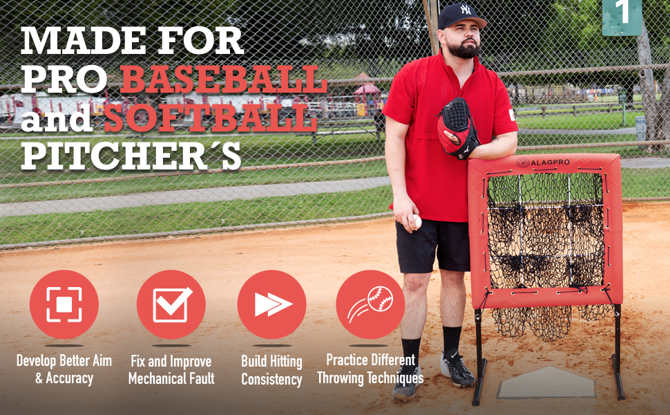 ALAGPRO 9 Hole Pitching Net with Strike Zone for Baseball
