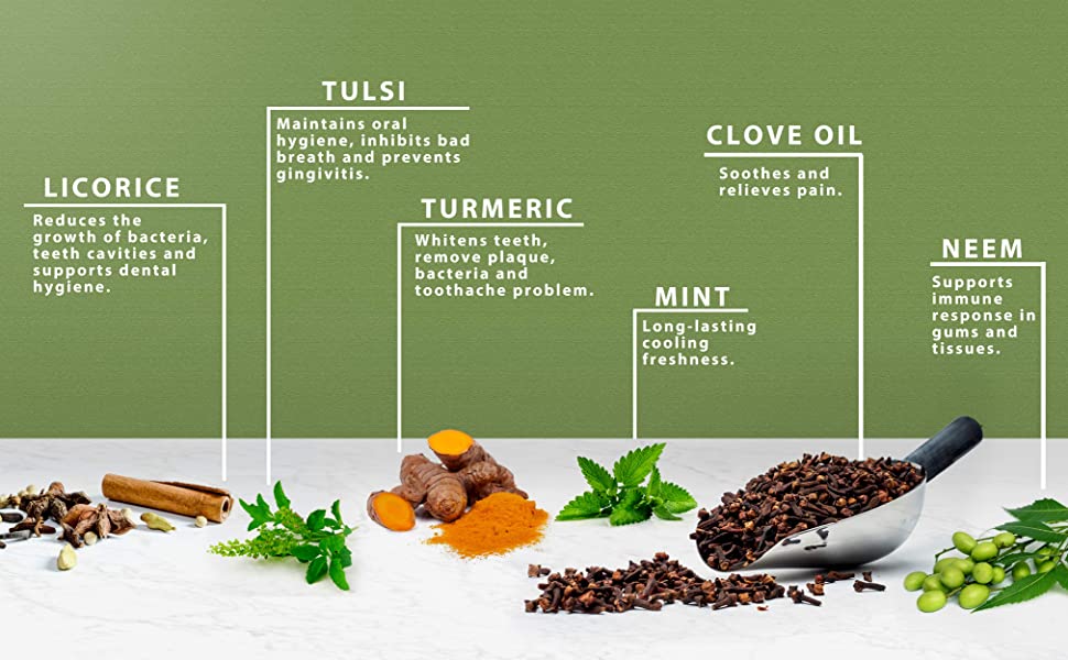 BIOAYURVEDA Bio Neem Tulsi Ayurvedic Toothpaste Gel for Healthy Teeth and Gums Germ