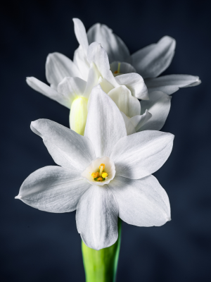 Small manufacture image 1