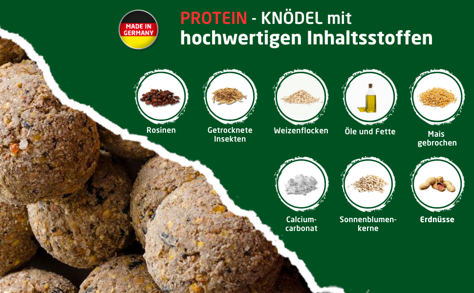 Proteinreiche Knödel mit Abbildungen der Zutaten: Kichererbsen, Linsen, Pilze, Hafer, Leinsamen, Kalzium, Sesam und Erdnüsse auf grünem Hintergrund.