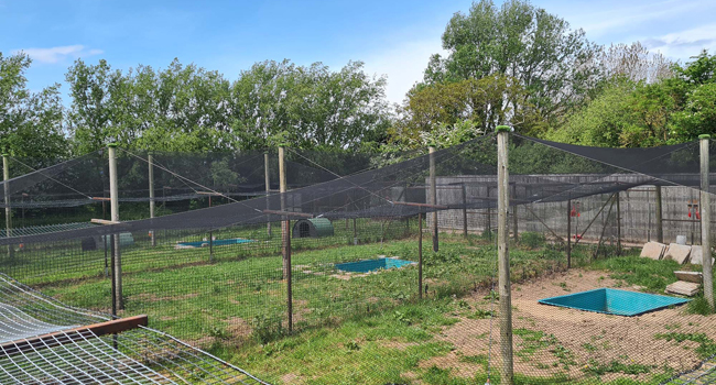 Large manufacture image 2