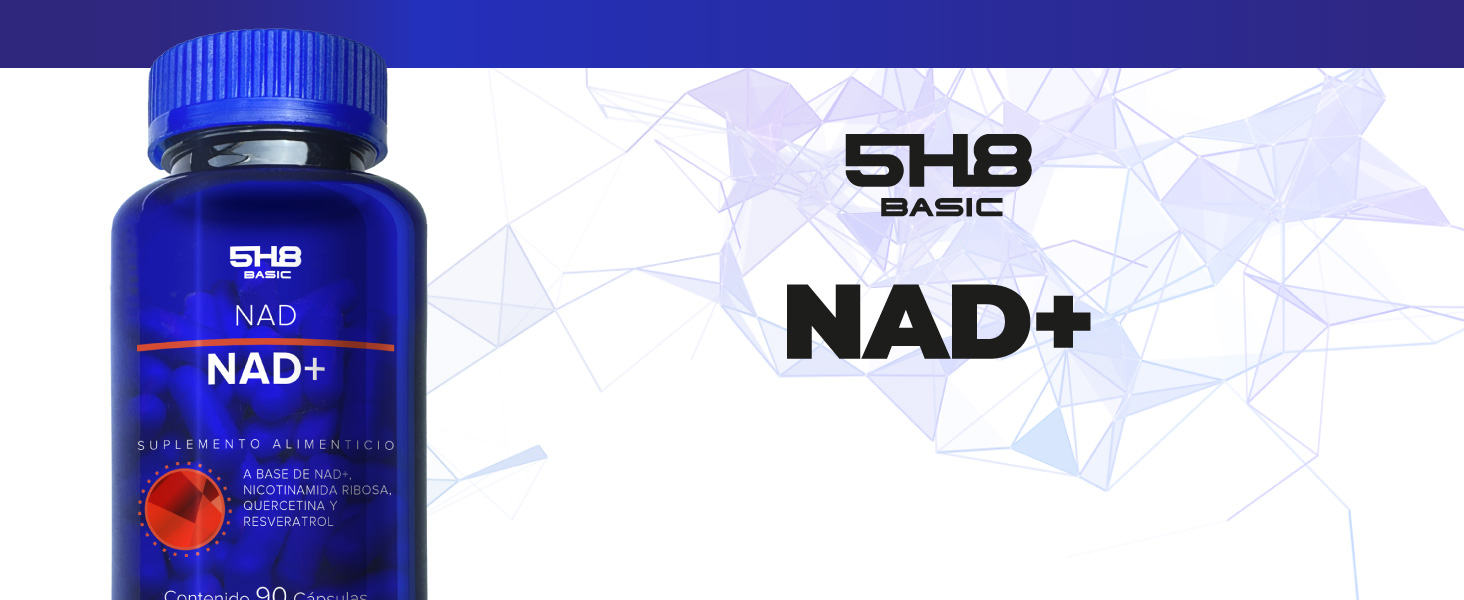 Nad+ 5H8 Básic