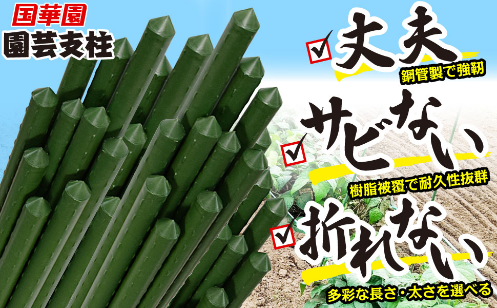 イノッチ様用　真竹 苗発送　鑑賞用・食用・工芸用2本組 真竹 苗発送 鑑賞用・食用・工芸用 - メルカリ