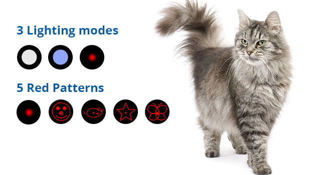 interactive cat toy with 5 funny patterns