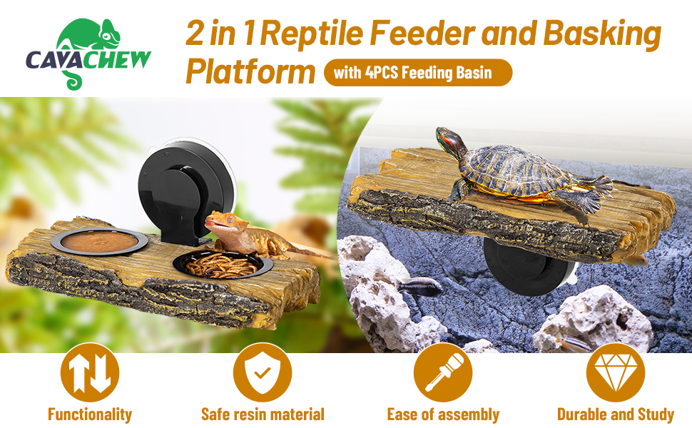Reptile Feeding Ledge