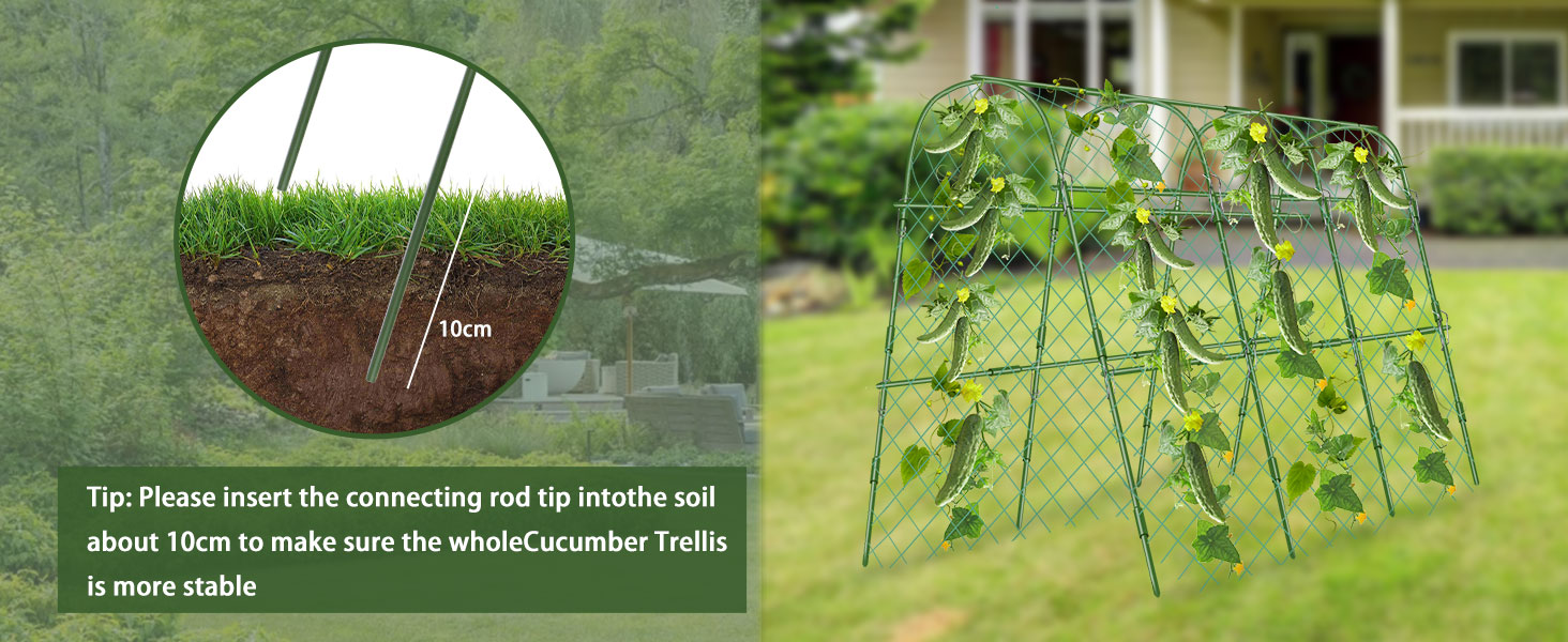 a frame trellis