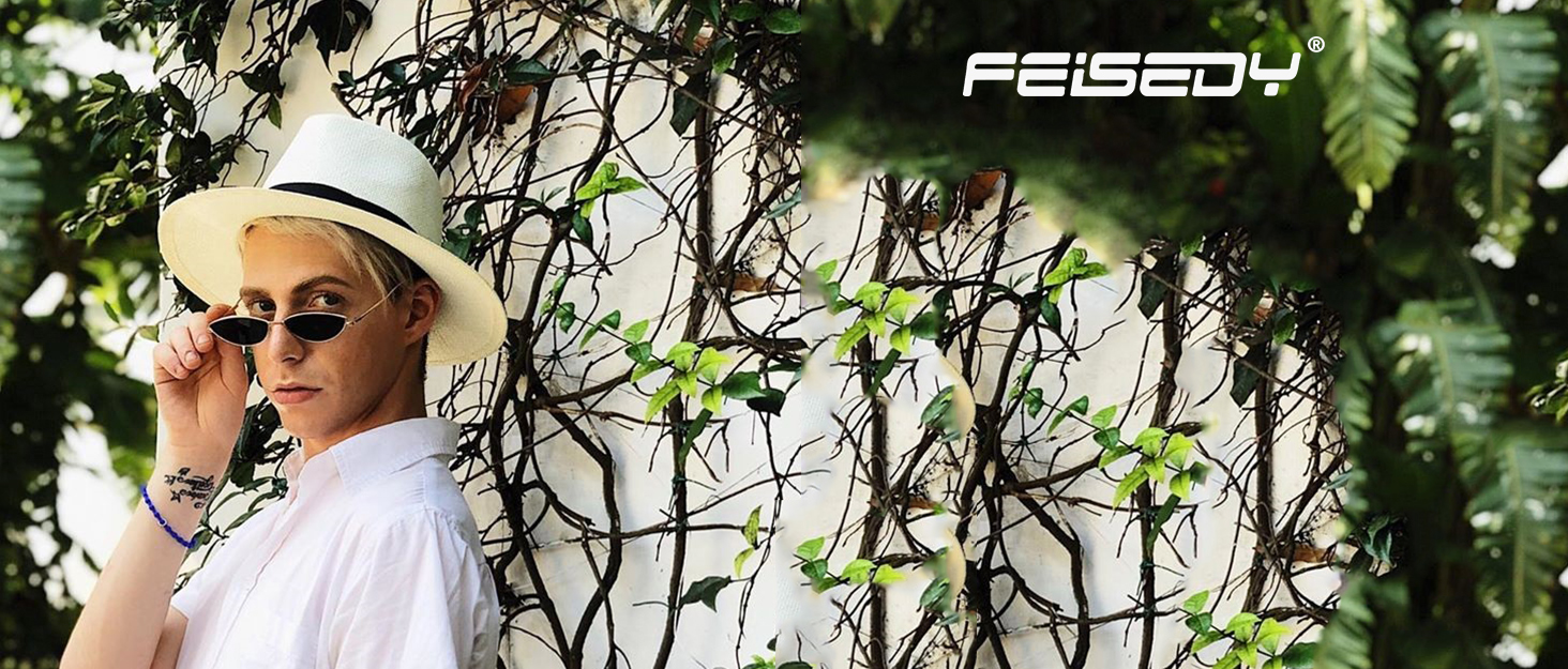 feisedy sunglasses