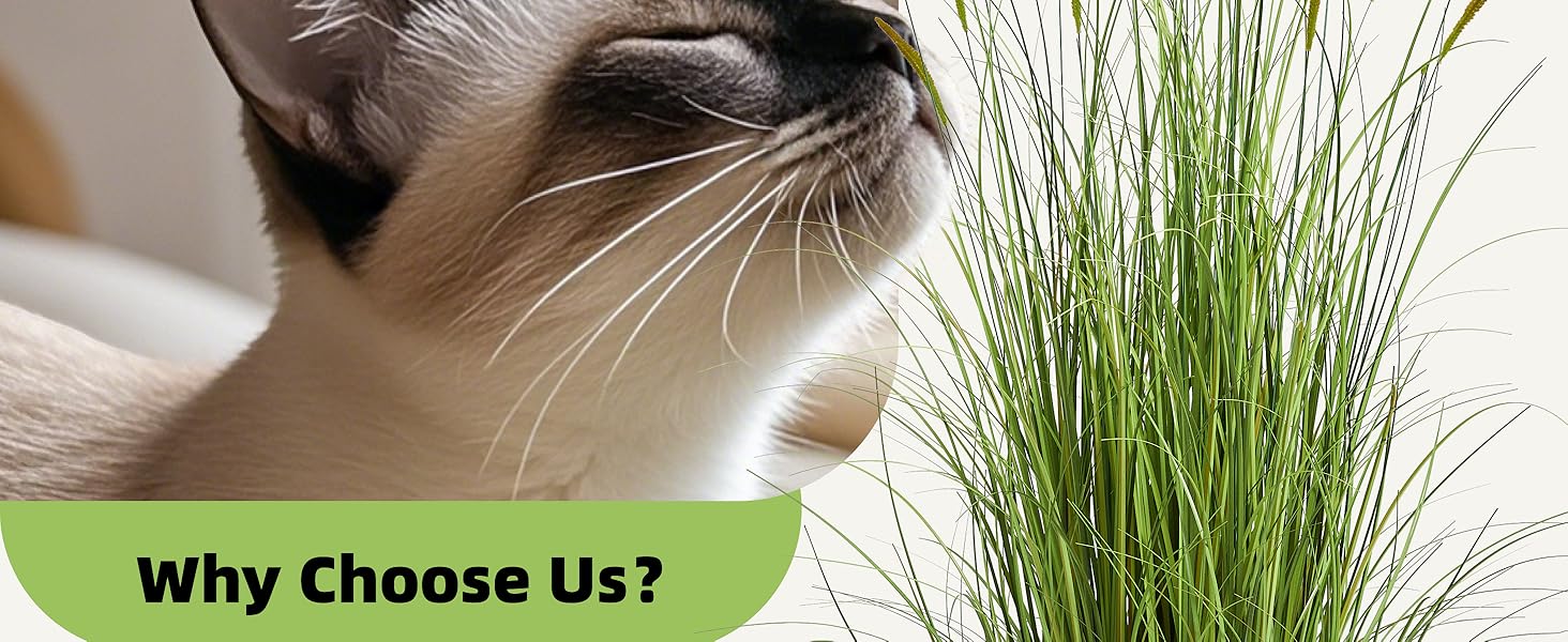 KOL Artificial Cattail Grass
