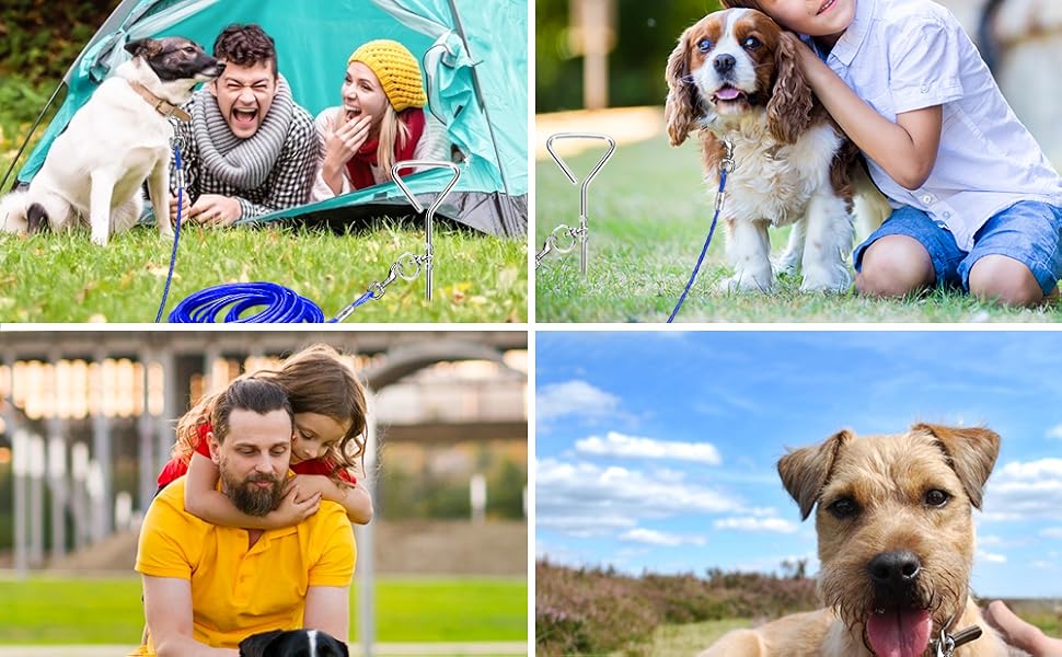 dog stake dog tether dog tie out cable dog camping accessories dog lead stake dog spike in ground