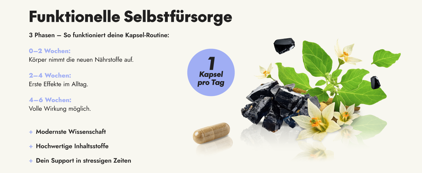 Produktbild mit Kapseln, schwarzen Holzkohlestücken und Pflanzenblättern. Der Text lautet „Funktionelle Selbstfürsorge“ und „1 Kapsel pro Tag“. Fördert die tägliche Einnahme von Nahrungsergänzungsmitteln zur Selbstpflege