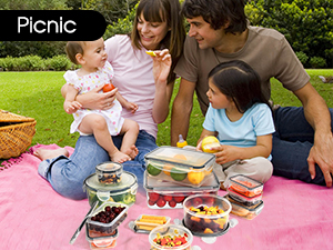 food storage containers with lids 