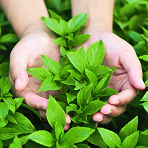 Small manufacture image 5