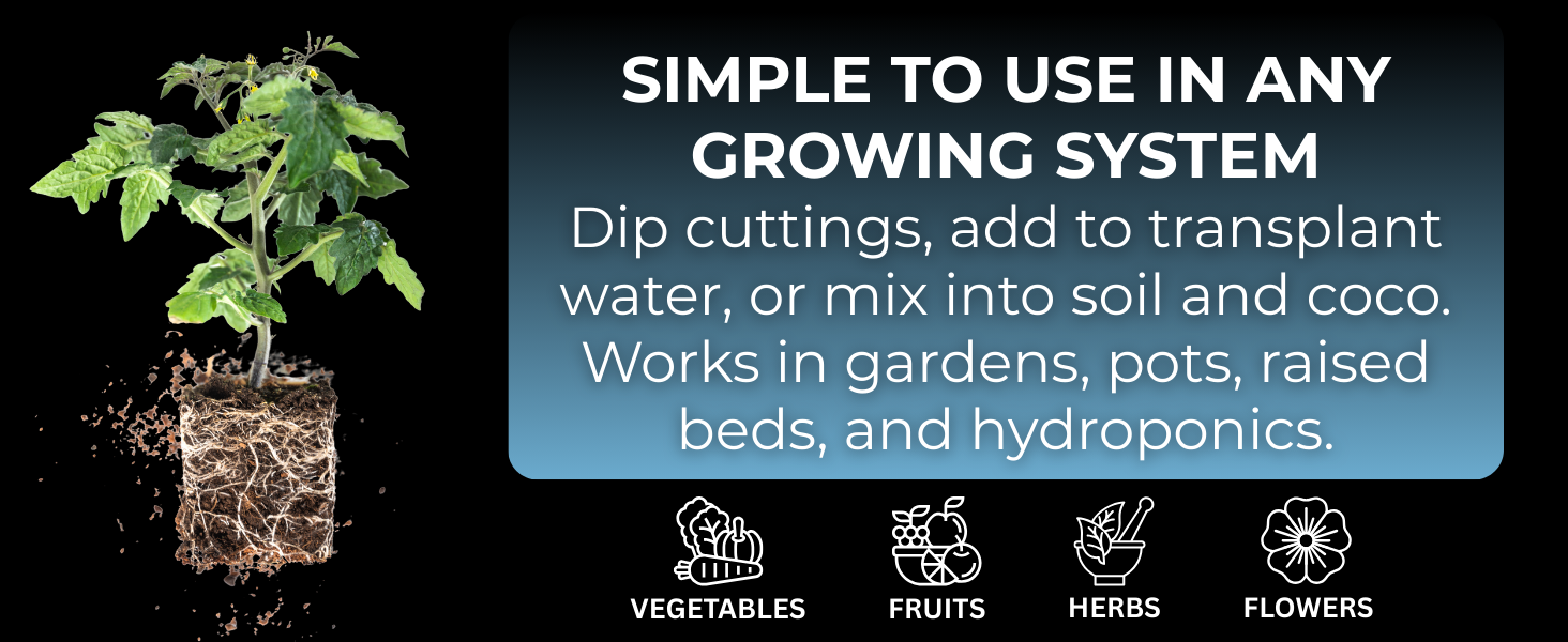 Large manufacture image 5