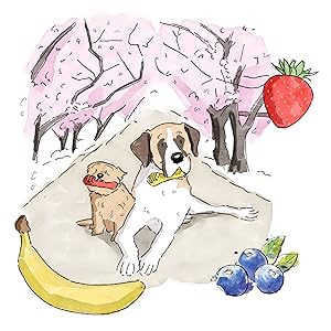 Amazon.co.jp: Stylish肉球 犬用歯磨きガム フルーツ味 全犬種