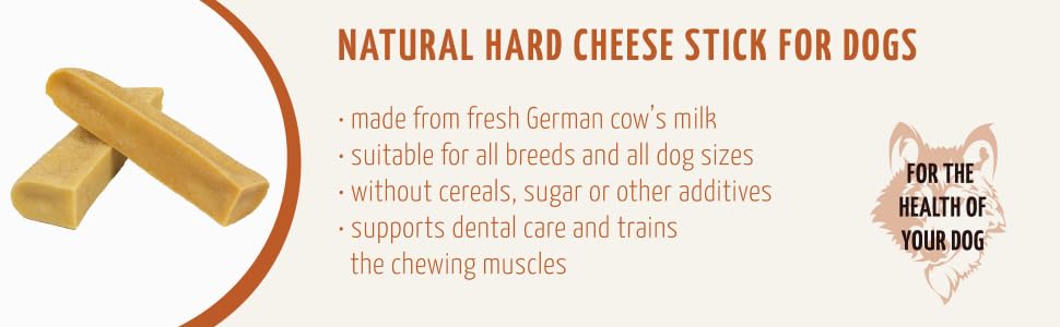 Hard cheese; cow's milk; dental care