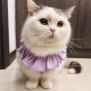 cat onesie