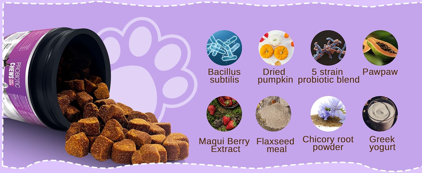 Dog Probiotic Chews