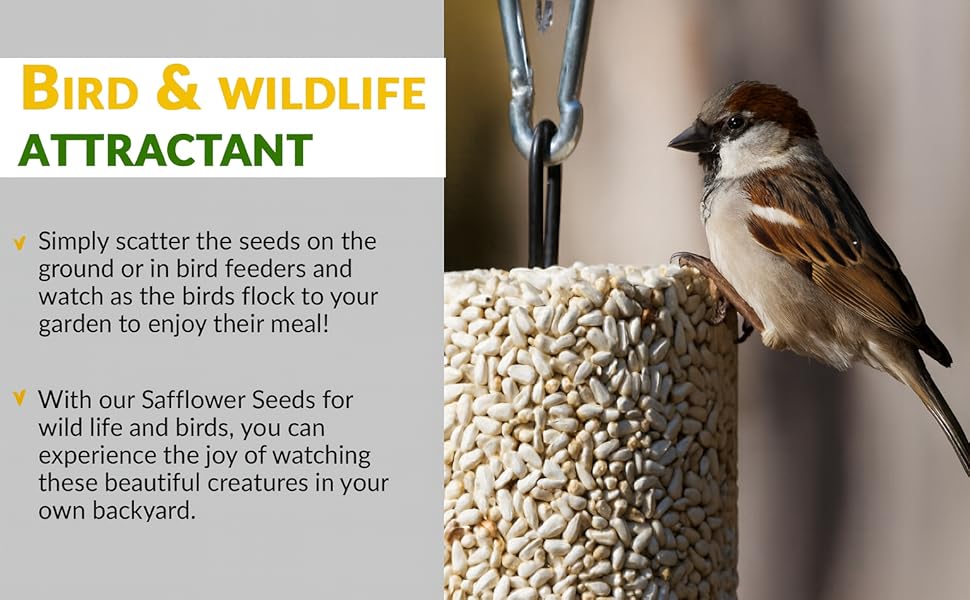 boltz safflower seeds for birds4