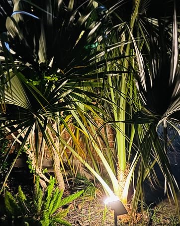 solar lights