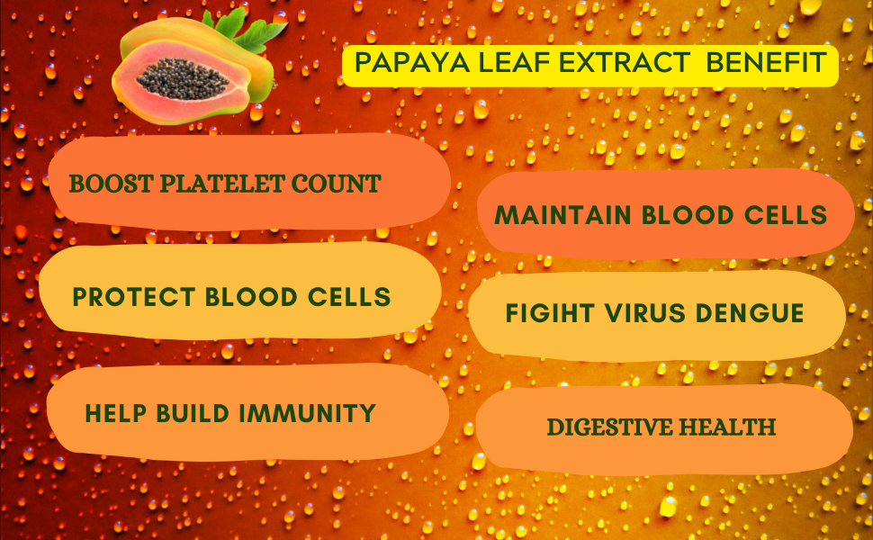 Godavari Herbal Carica Papaya Leaf Extract 500 mg 60 Capsule Amazon