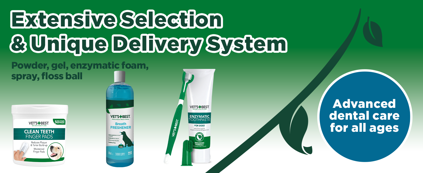 selection
