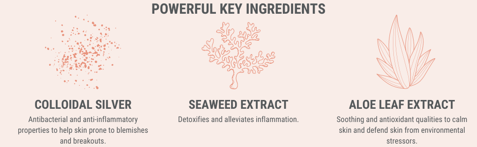 purifying silver mask ingredients 