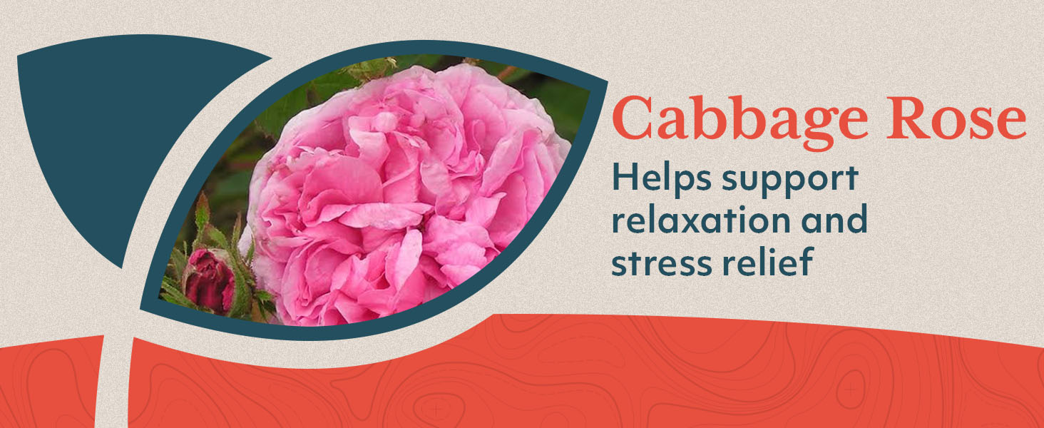 potassium pressure supplements taurate 1500mg taurato de magnesio best lower reducers medicine