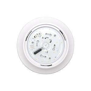 9 Inch Ceiling Light