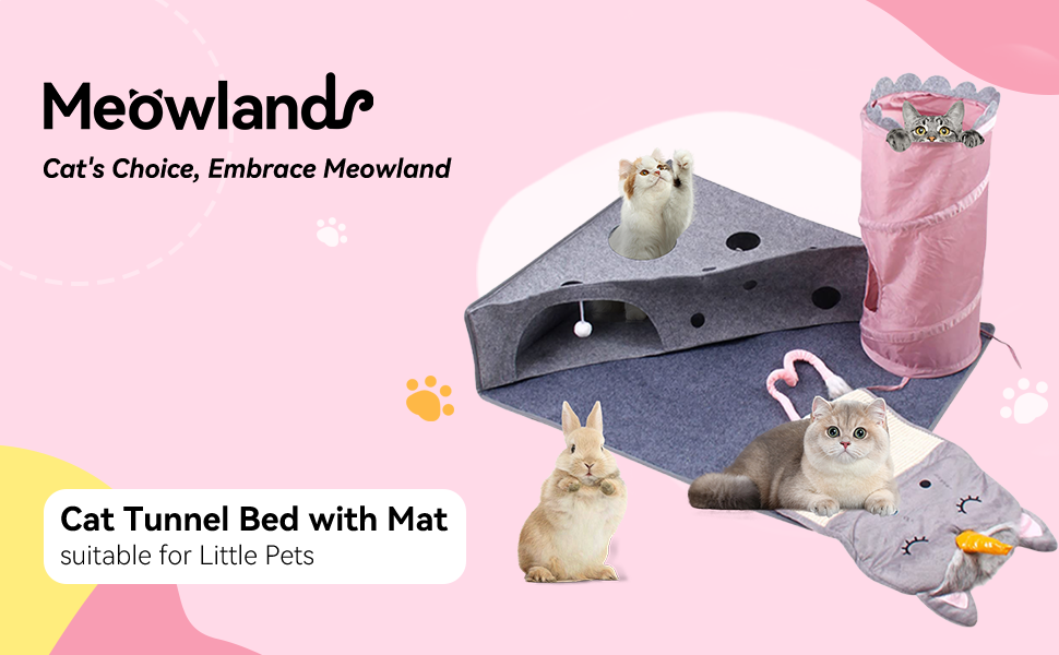 cat tunnel