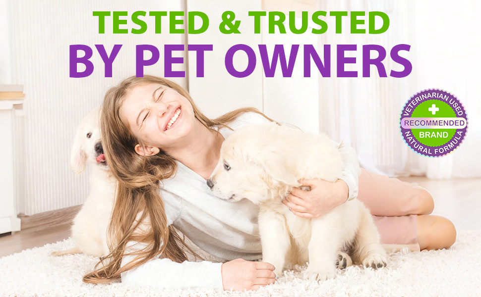 Daily Dog Supplements