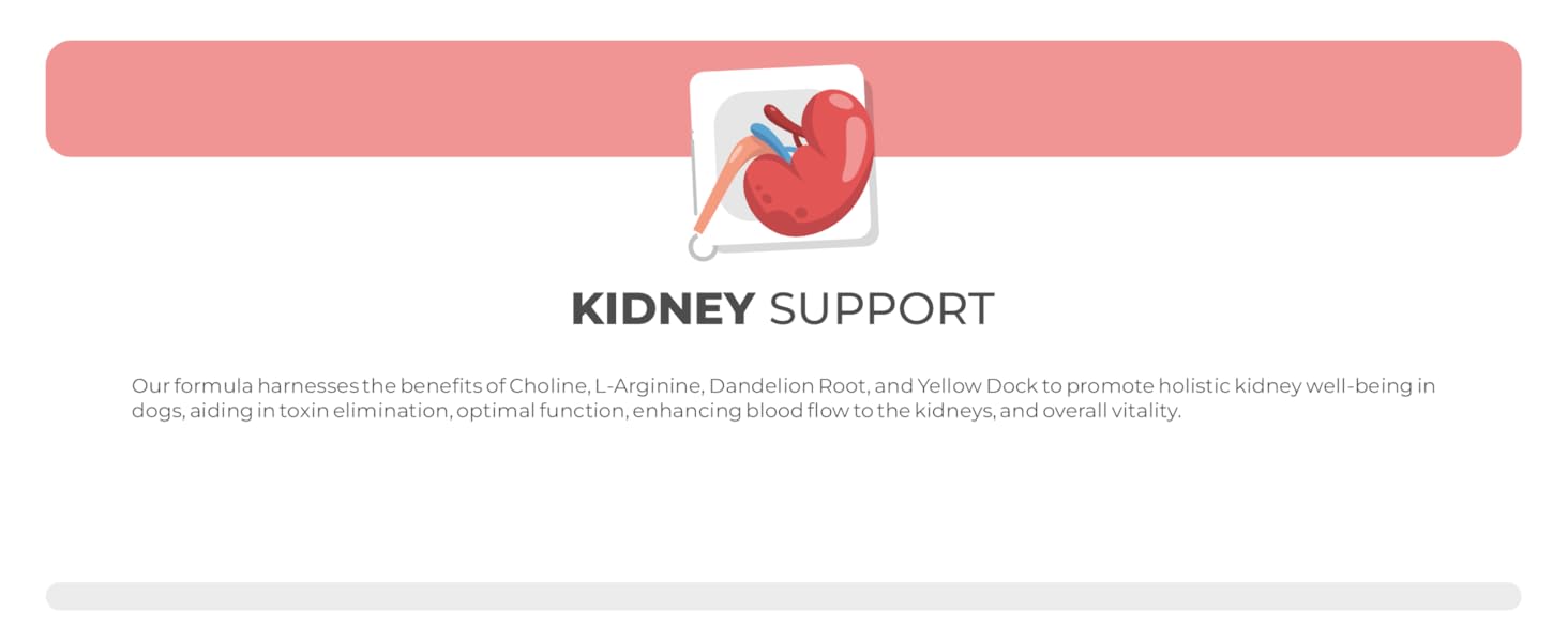 liver support supplement for dogs hepatic dog liver supplement kidney support dog dogs soft chews