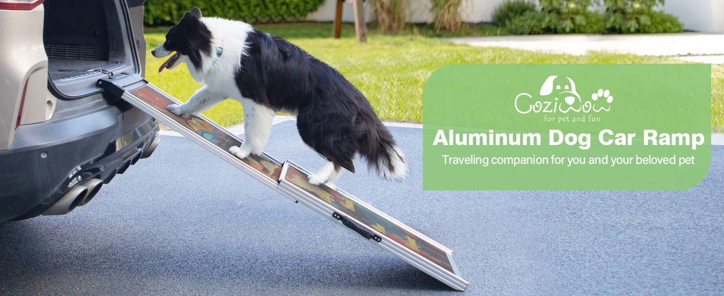 pet ramps