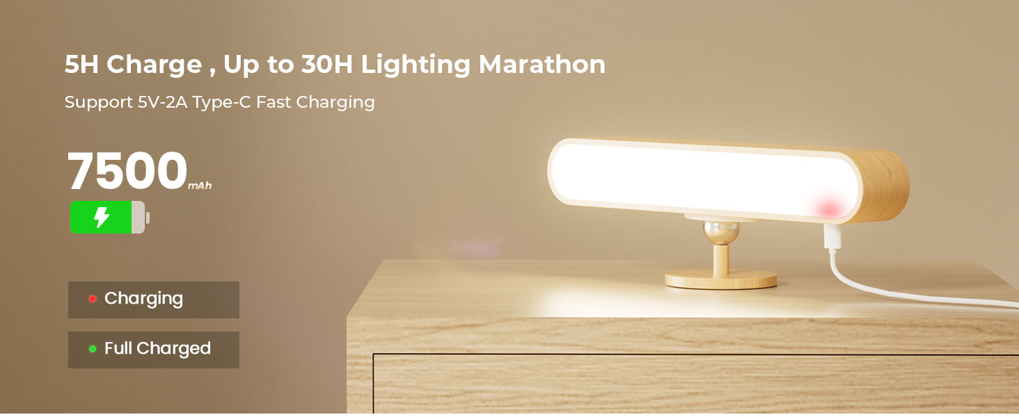 battery operated wall sconce