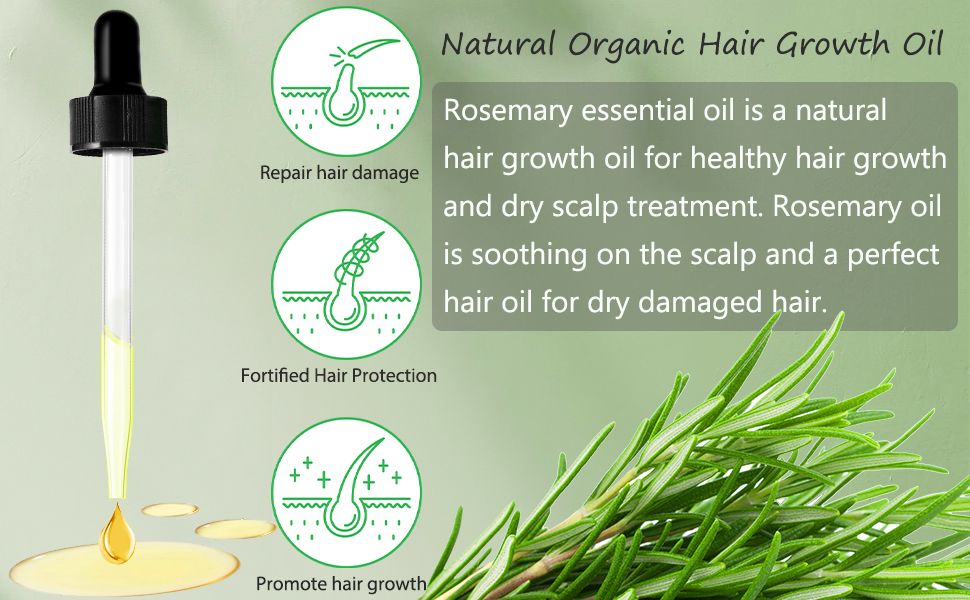 rosemary oil for hair