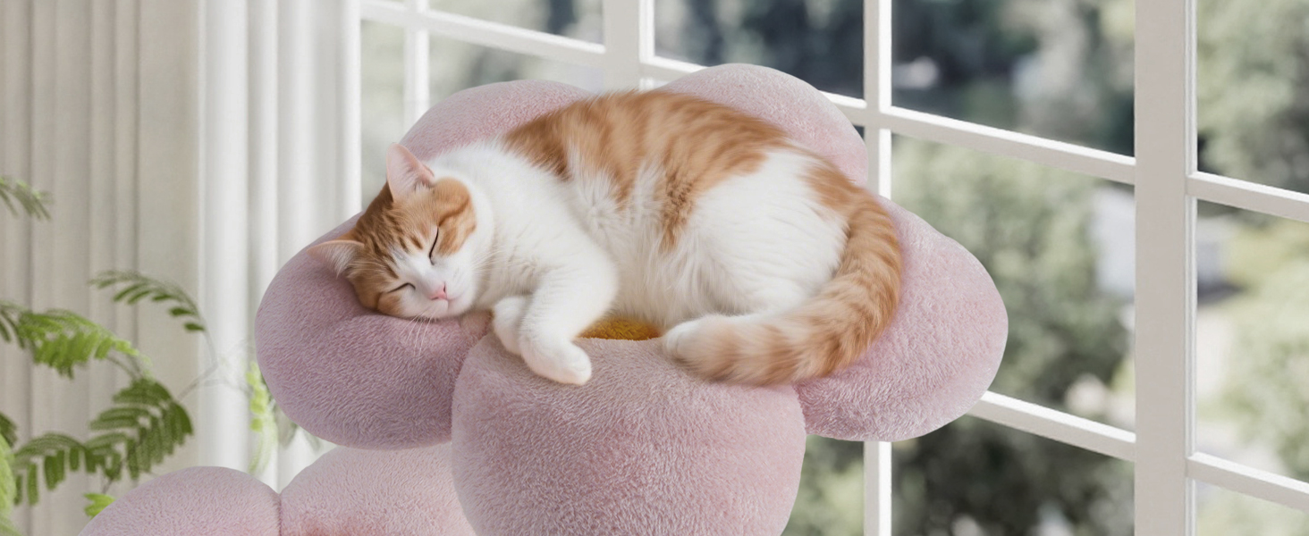 cat tree