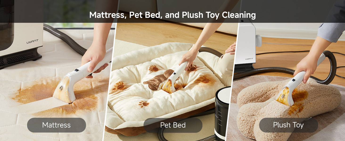 Portable Carpet Cleaner