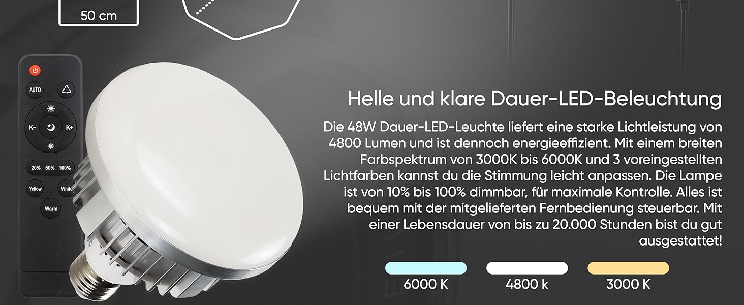 Fotostudio Set - Greenscreen mit Ständer – Softbox Durchlichtschirm Lampen Set - Fotohintergrund