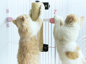 猫抓柱高级A+-坚固耐用