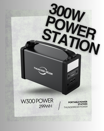 W300 power station