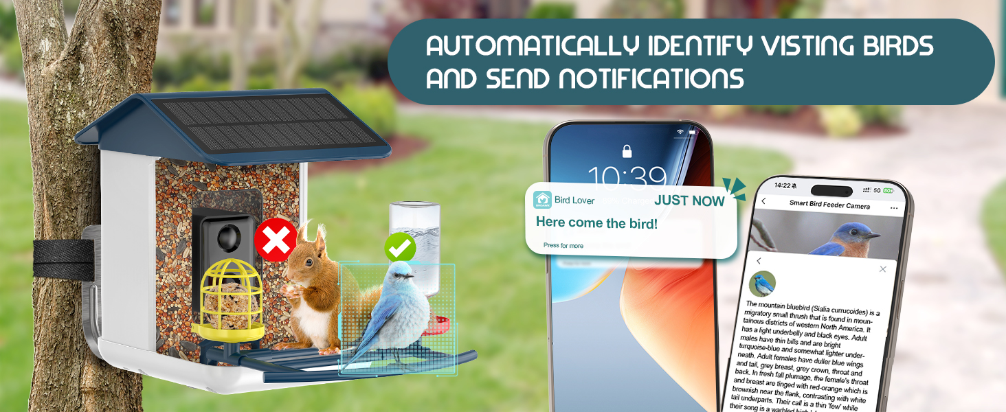 ai bird feeder for children