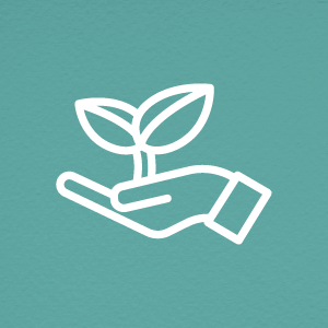 Liver Guard | Suplemento para Hígado