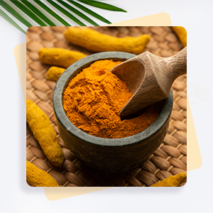 Organic Turmeric Powder 500g