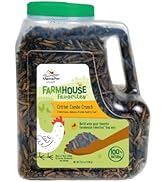 Manna Pro Farmhouse Favorites Critter Combo Crunch Bug Jug – Engaging Poultry Treat – Blend of Bl...
